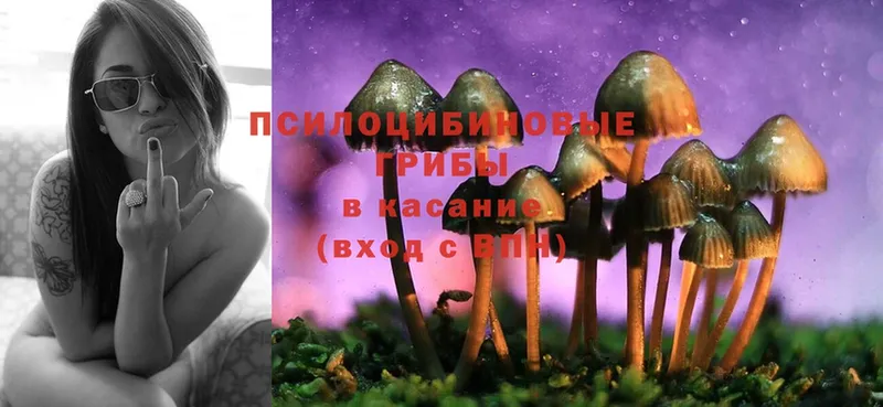 наркошоп  Малгобек  Псилоцибиновые грибы MAGIC MUSHROOMS 